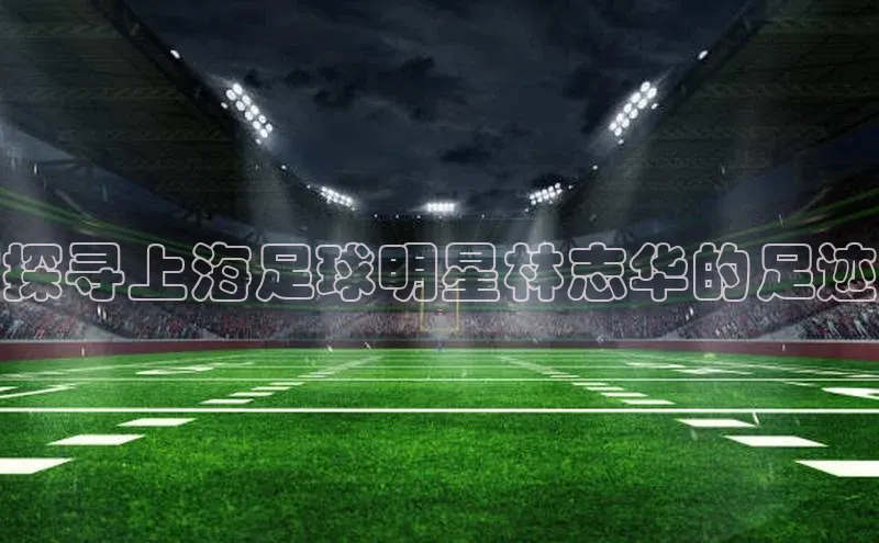 凯捷娱乐阿里尔公司