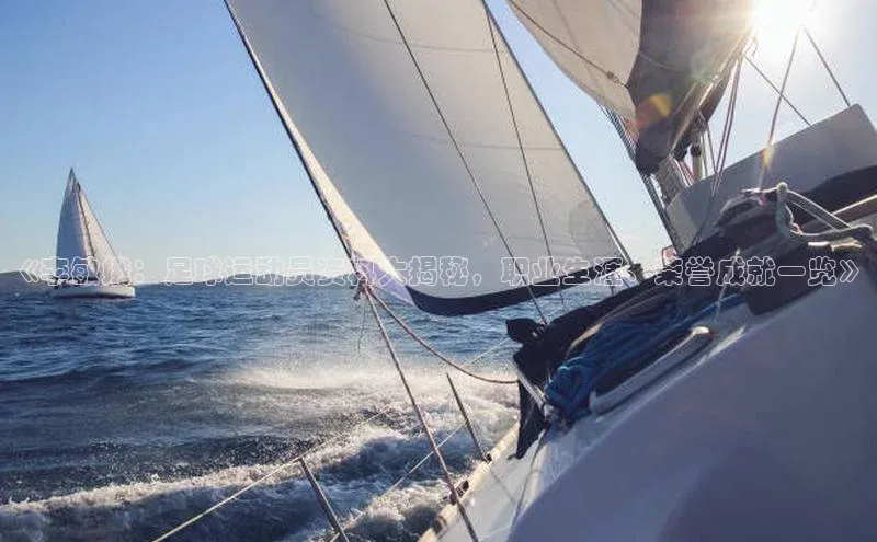 凯捷娱乐阿里尔公司