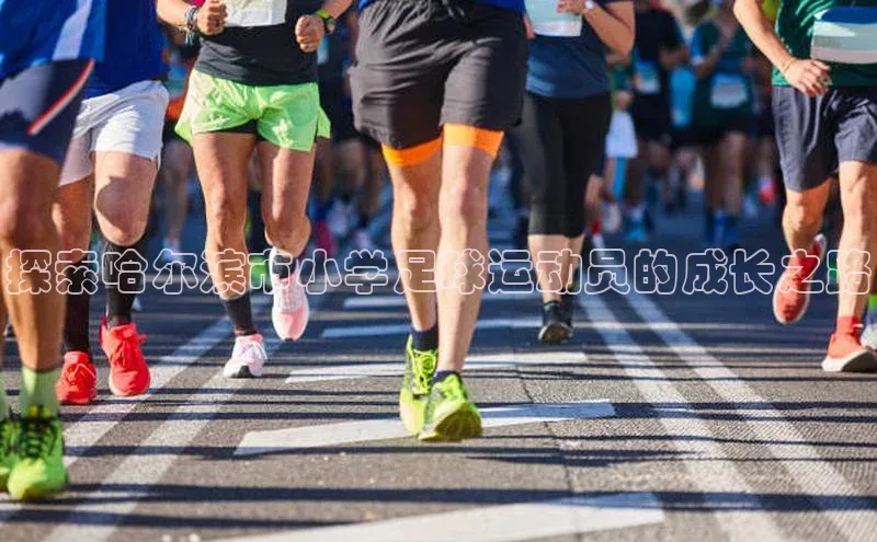 意昂4凯捷体育诸葛科技