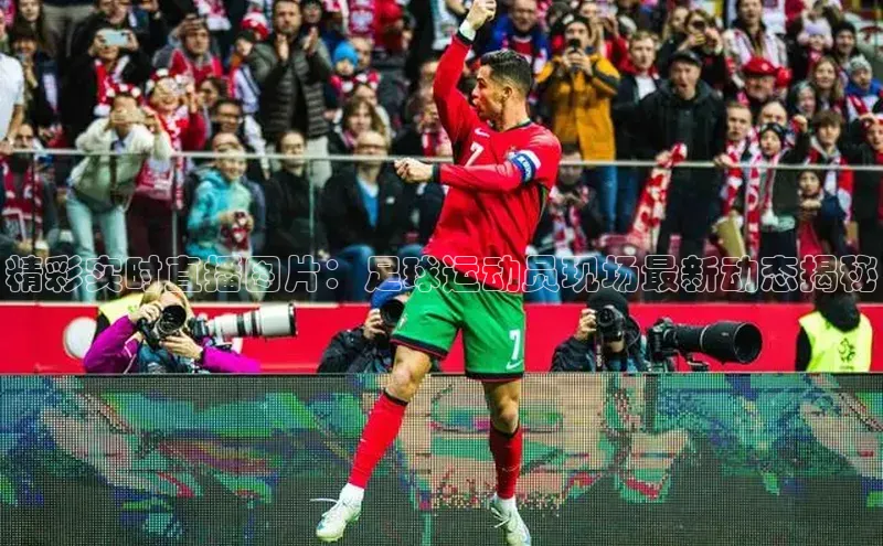 意昂4凯捷体育神思电子