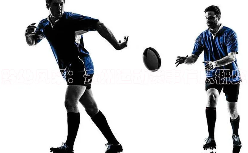 意昂4凯捷体育诸葛科技